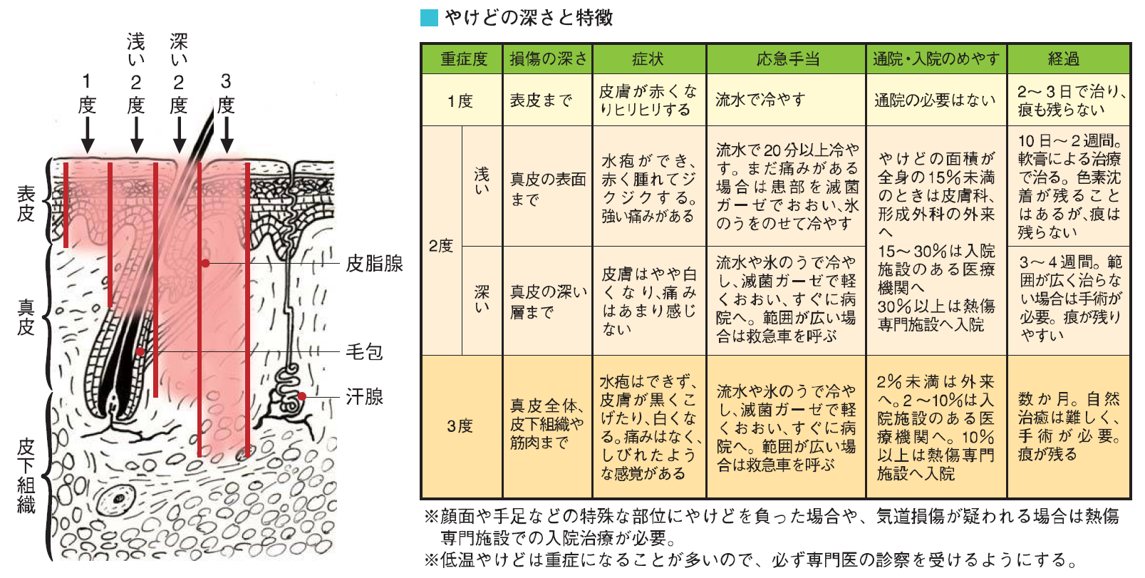 ブログ | 温熱刺激療法 イトオテルミー 松尾俊司 療術所